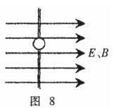 图片11