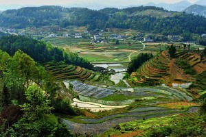 利川田园风光