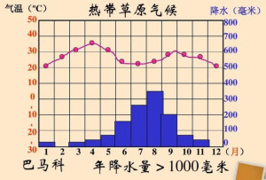 热带草原气候