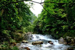 新店镇香山原生态森林