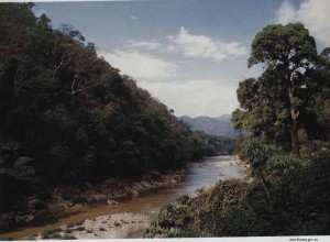 大青山国家级自然保护区